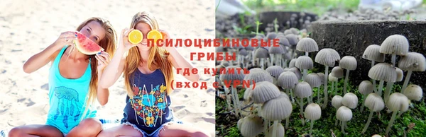 индика Навашино