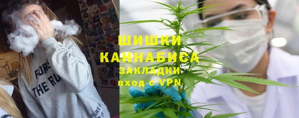 индика Навашино