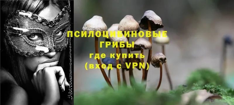 Псилоцибиновые грибы MAGIC MUSHROOMS  Усолье-Сибирское 